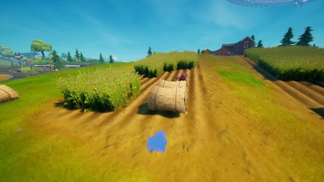 Emplacement d'une provision de survie 2