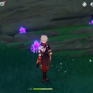 Plaine de Byakko-morceaux d'améthyste