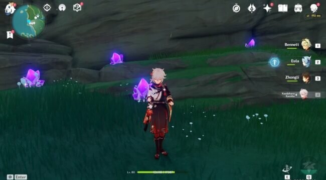 Plaine de Byakko-morceaux d'améthyste