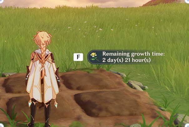 l(emplacement de la graines correspondante affichera la progression de sa croissance