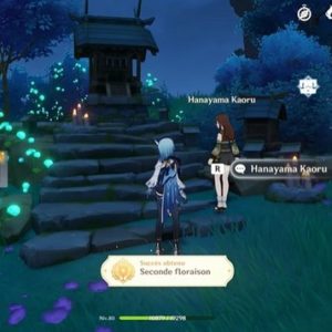 Succès caché : Seconde floraison - Genshin Impact Inazuma