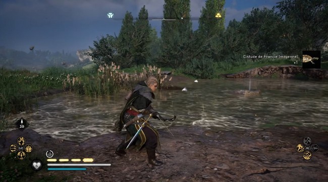 attraper 3x cistude de Francie moyenne