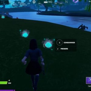 Cueillir des champignons-fortnite-saison-8 -Quêtes Maître des champignons-1