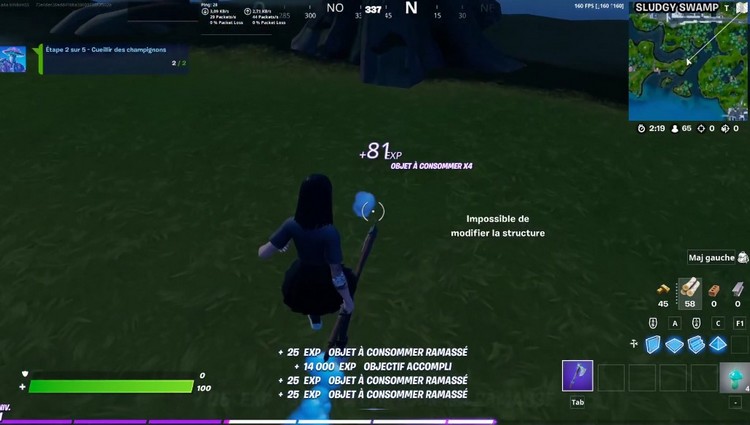 Cueillir des champignons-fortnite-saison-8 -Quêtes Maître des champignons-2