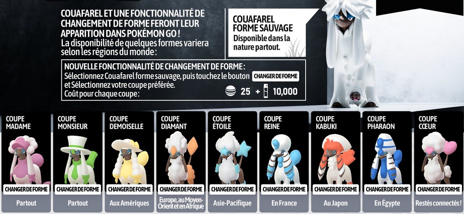 Les différentes Coupes de Couafarel