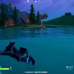 Nager au lac des canoës