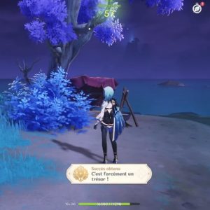 c'est forcément un trésor genshin impact