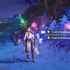 fruit d'Amakumo genshin impact