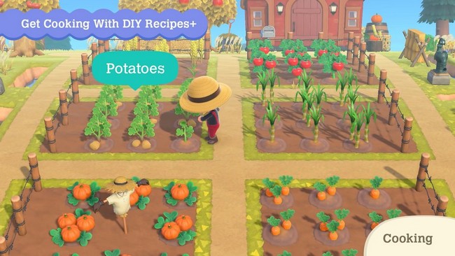 Comment avoir de la pomme de terre dans Animal Crossing : New Horizons ?