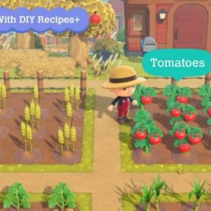 Comment avoir de la tomate dans Animal Crossing : New Horizons ?