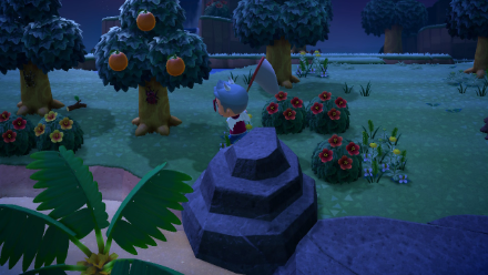 L'île aux coccinelles