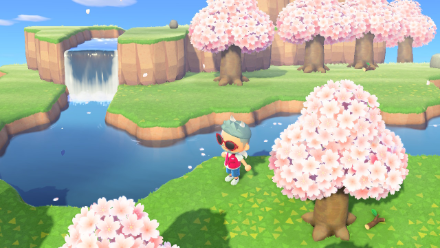 L'île des cerises en fleurs