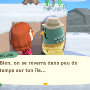 Trouvez et parlez à Robusto