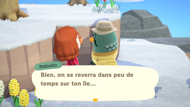 Trouvez et parlez à Robusto