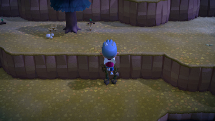 Utilisez-les pour escalader les falaises