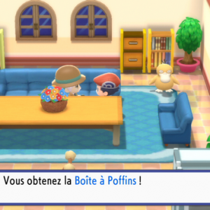boîte à poffins