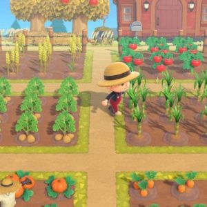 Comment avoir de la canne à sucre dans Animal Crossing : New Horizons ?