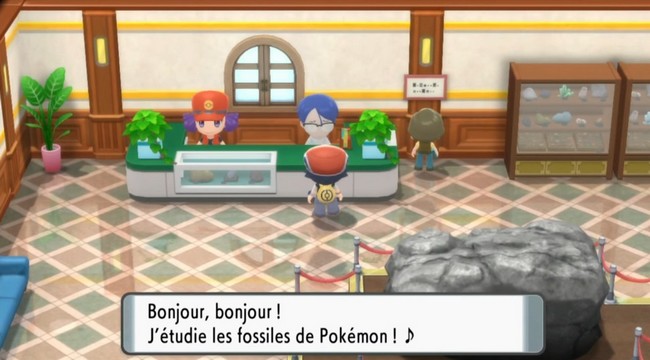 comment avoir et comment réanimer les fossiles