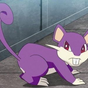 Événement Chenapan déchaîné ratata