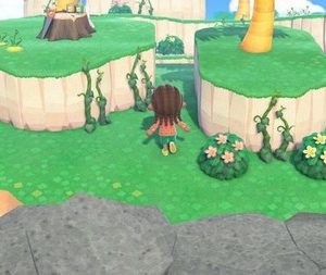 Île aux vignes et mousses