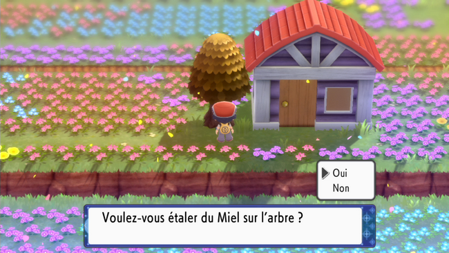 étaler du miel sur l'arbre