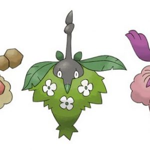 Cheniselle dans Pokémon Diamant Étincelant et Perle Scintillante