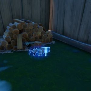 Le Lance-boules de neige dans Fortnite chapitre 3