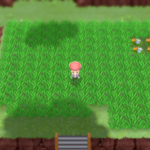 le Jardin Trophée dans Pokémon Diamant Étincelant et Perle Scintillante