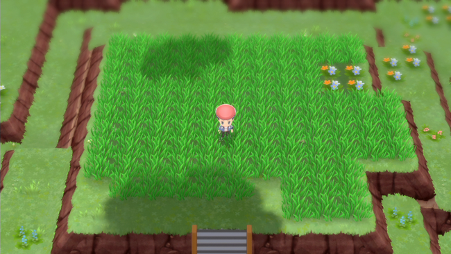 le Jardin Trophée dans Pokémon Diamant Étincelant et Perle Scintillante