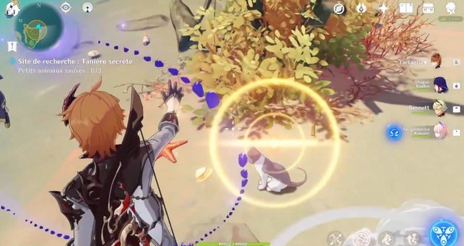 petits animaux sauvés 1