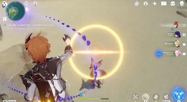 petits animaux sauvés 3