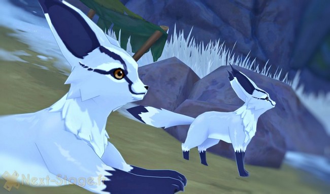 renard des neiges à Genshin Impact