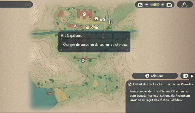 Art Capillaire Légendes Pokémon Arceus