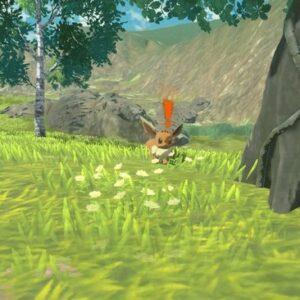 Emplacement Évoli Légendes Pokémon Arceus