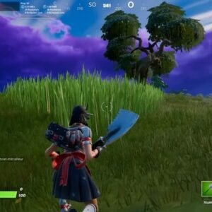 Infliger des dégâts à un adversaire dans les 45 s après s'être accroupi dans des hautes herbes