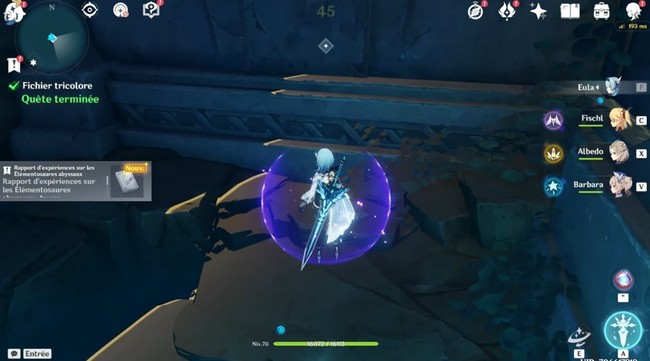 Rapport d'expérience sur les élémentosaures