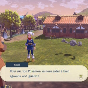 Risier Légendes Pokémon Arceus