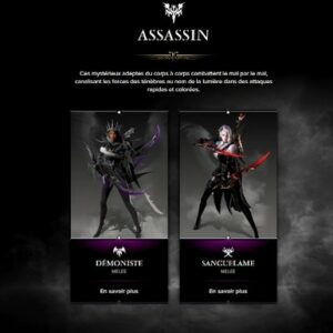 Classe Assassin Lost Ark