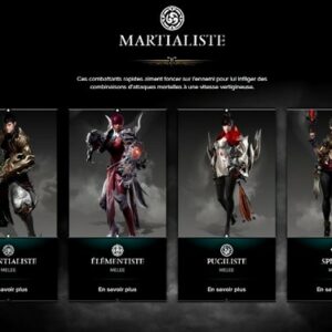 Classe Martialiste Lost Ark