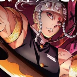 Demon Slayer saison 2 épisode 11 le quartier des plaisirs