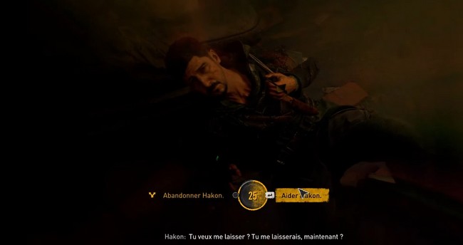 Dying Light 2 Stay Human-Aider Hakon