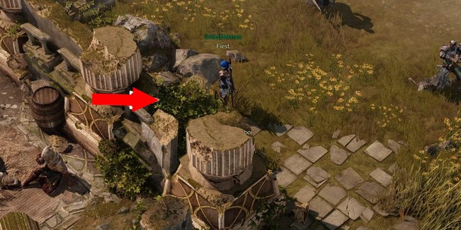 Emplacement graine de Mokoko à Mont Anguemos 1