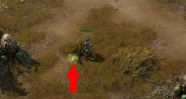 Emplacement graine de Mokoko à Mont Anguemos 3