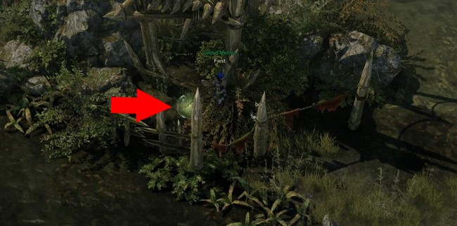 Emplacement graine de Mokoko à Mont Anguemos 5