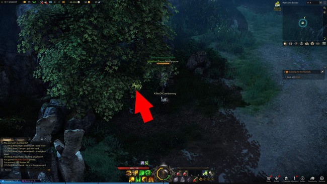 Emplacements Graines Mokoko de la Frontière du Réthramis dans Lost Ark-6