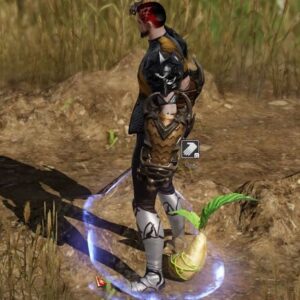 Emplacements Graines Mokoko à Fierbourg Lost Ark