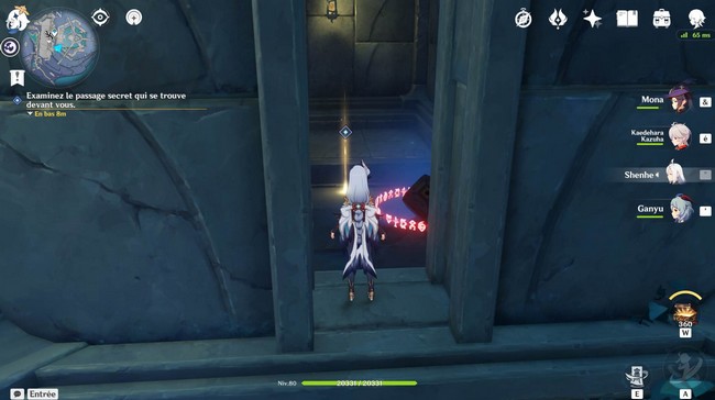 Examinez le passage secret qui se trouve devant vous