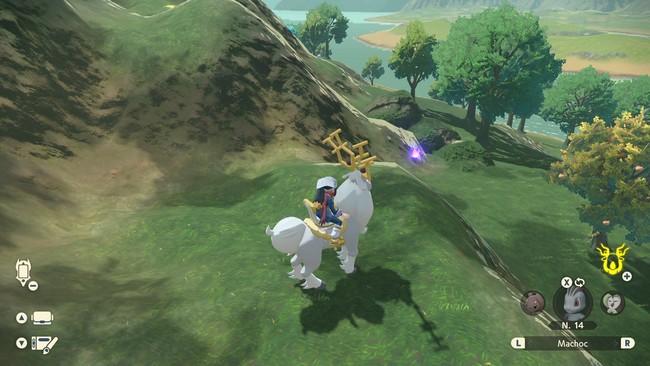 Flamme Étrange des Plaines Obsidiennes N°19