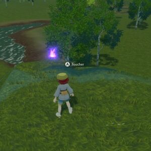 Flamme Étrange des Plaines Obsidiennes N°2