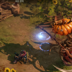 Wili Wili dans Lost Ark